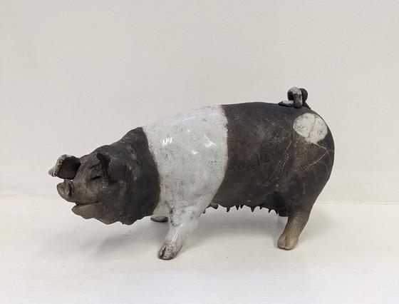 Standing Saddle back Pig with Gold in Spot