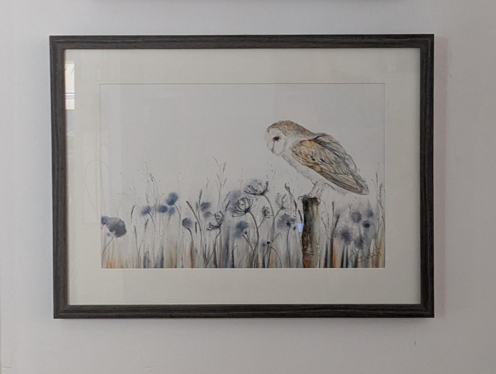 Ted the Barn Owl