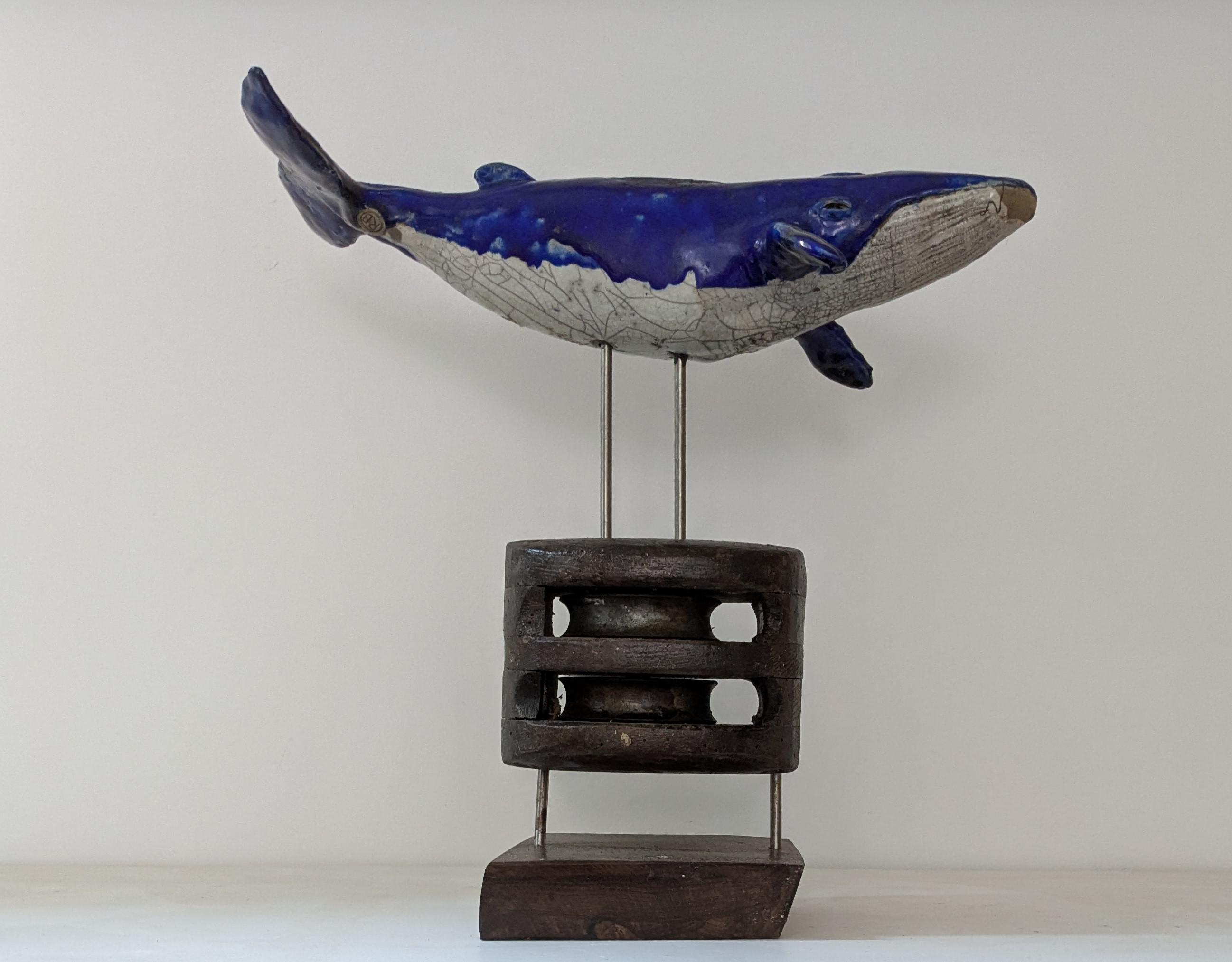 Blue Whale on Block