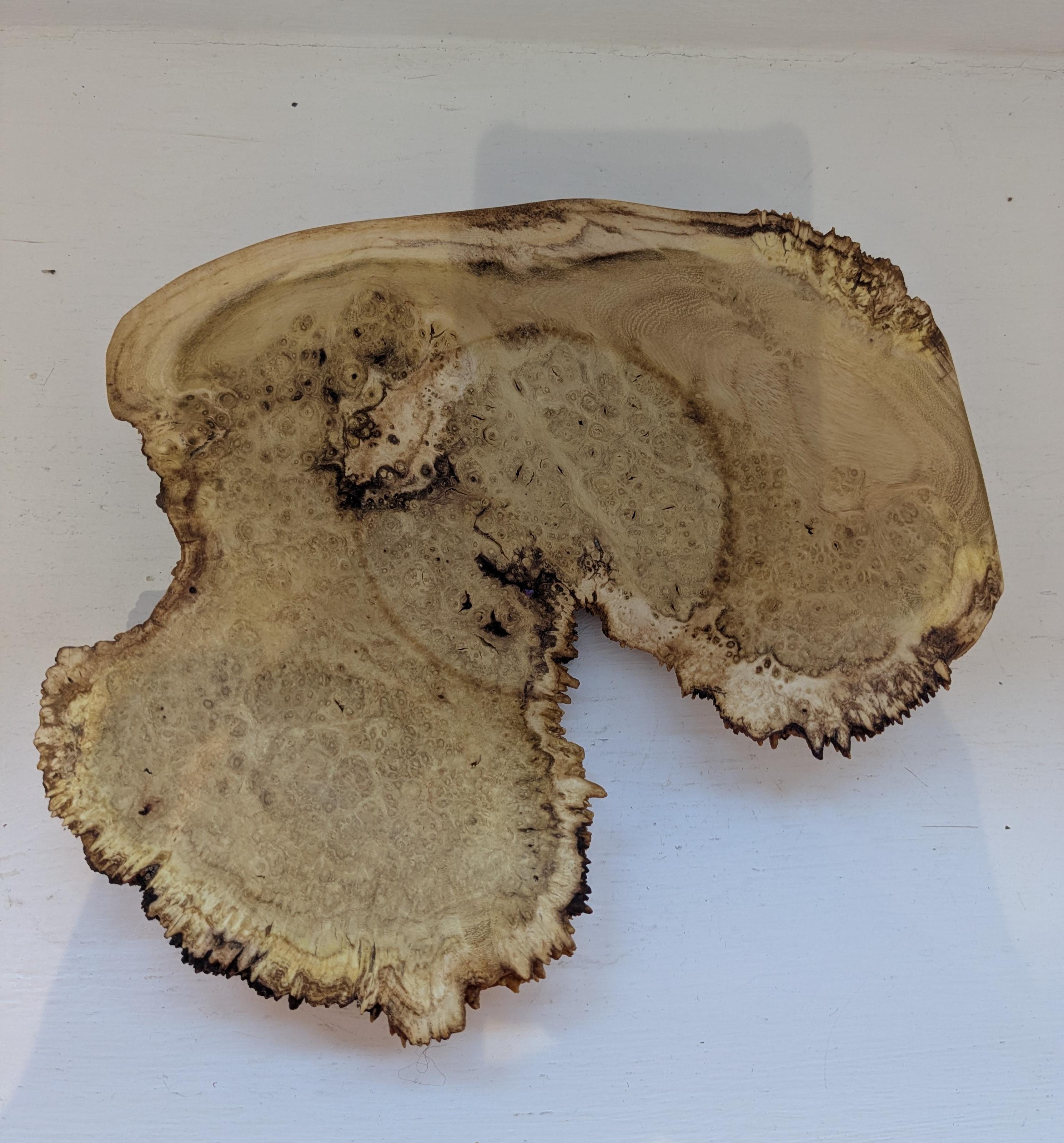 Natural Edge Bowl - wood from Woburn