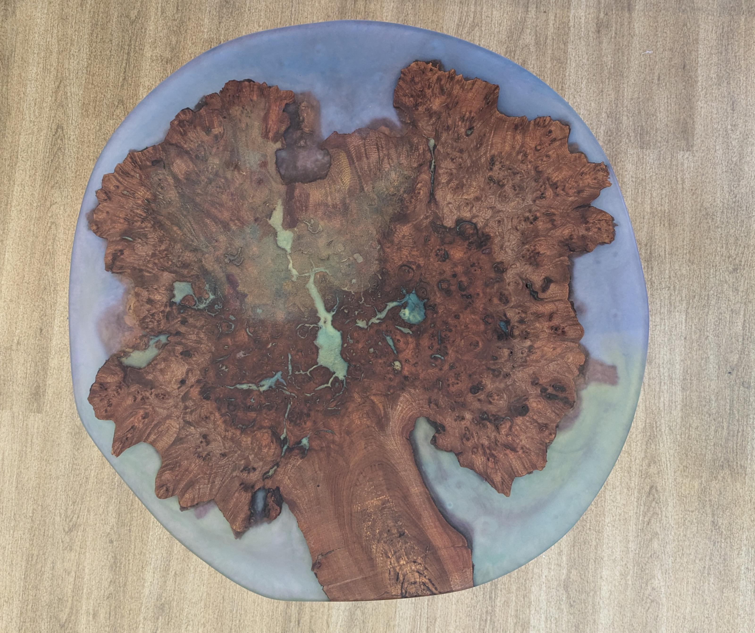 Tree of Life Table