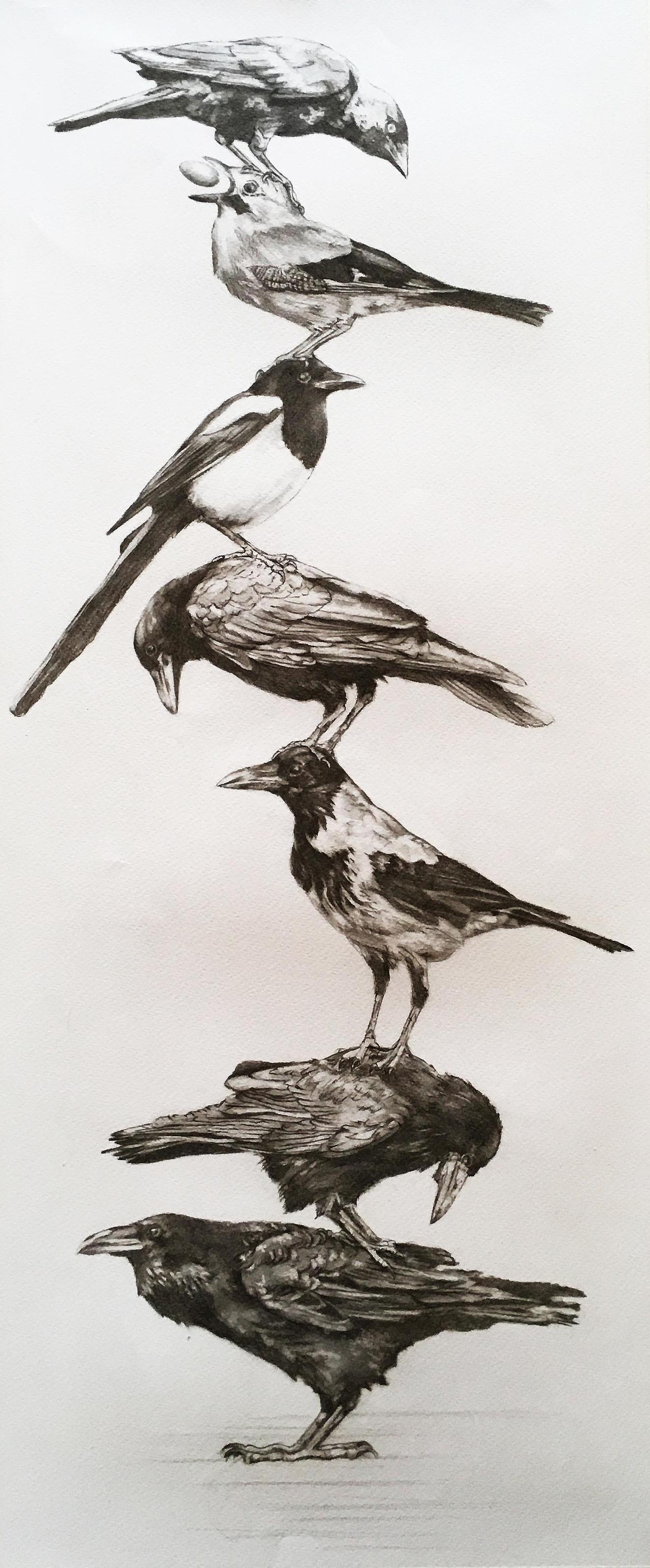 Corvid Stack Stage 1