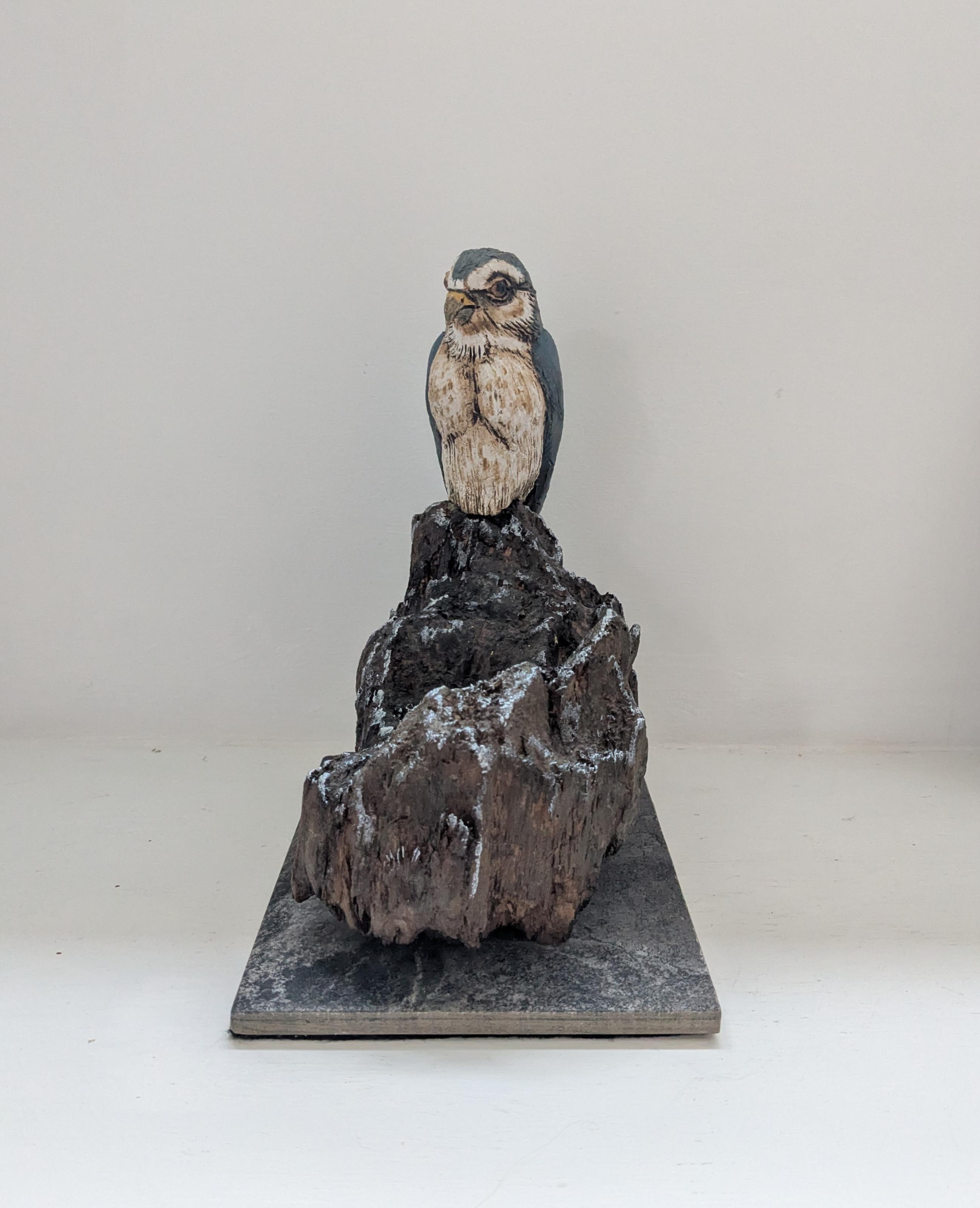 Merlin on Found Wood