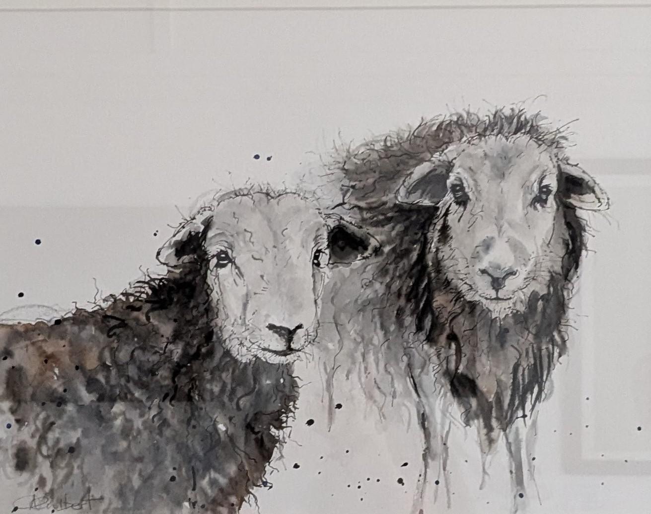 Herdwicks