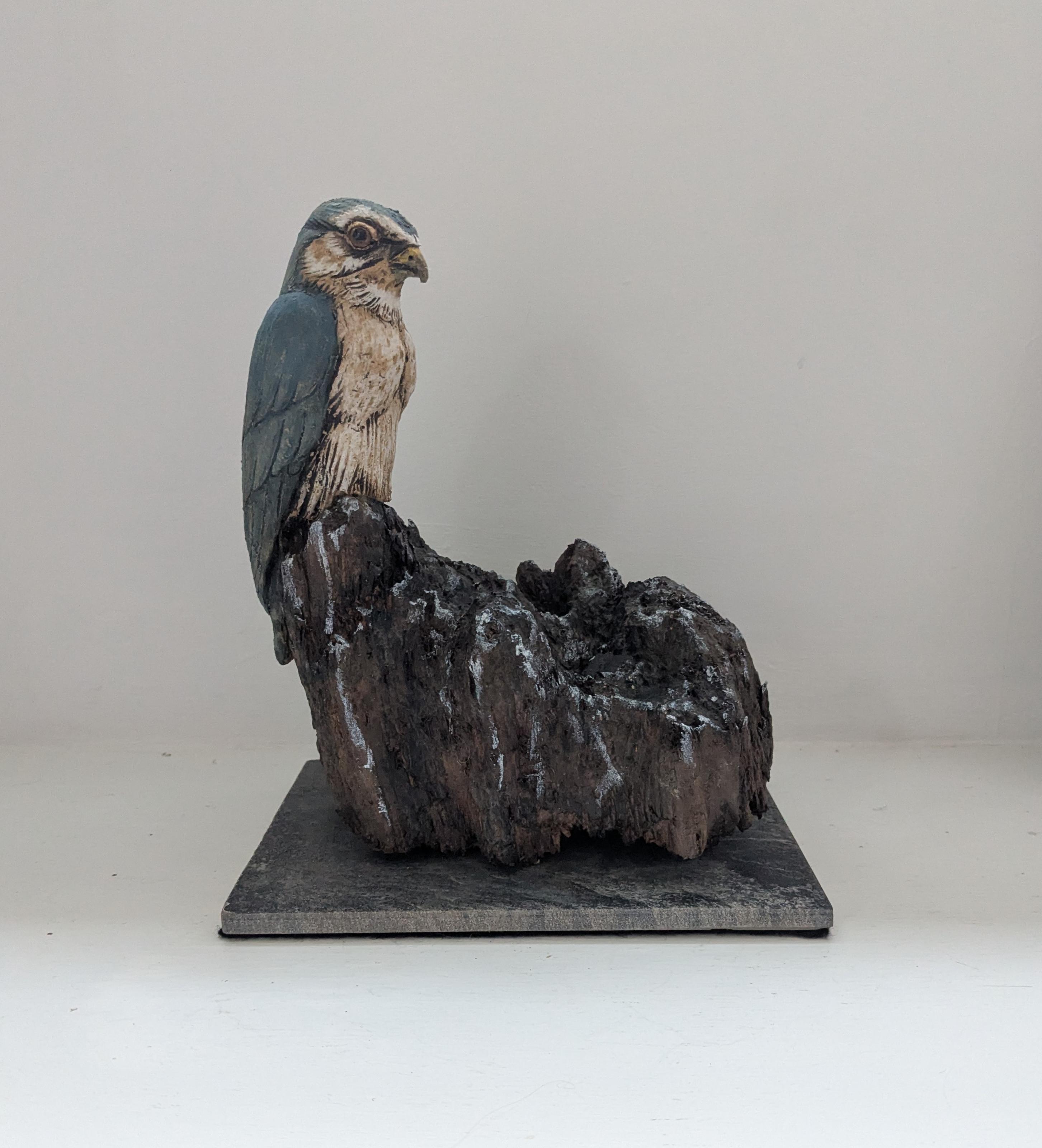 Merlin on Found Wood