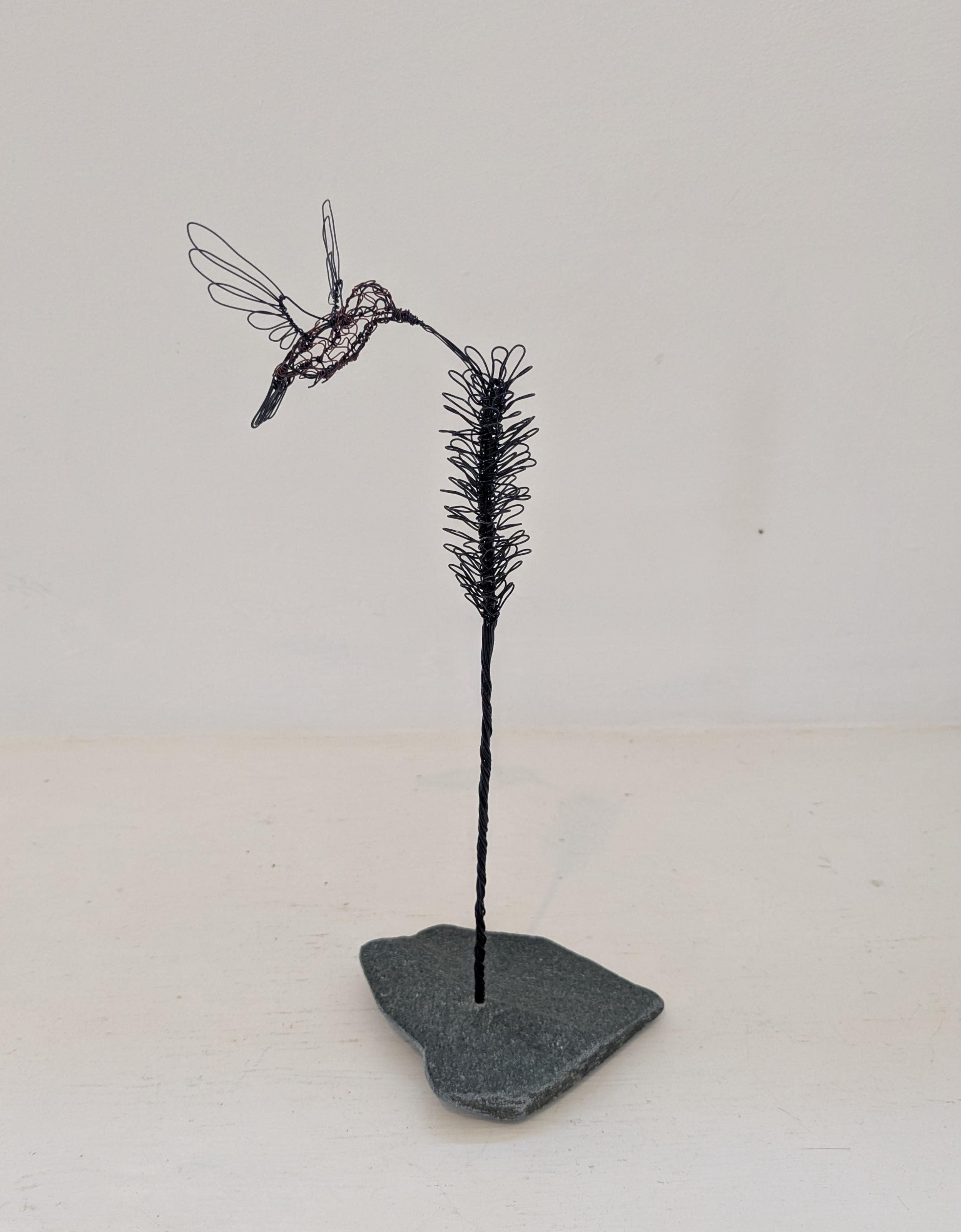 Hummingbird (LJP2604)
