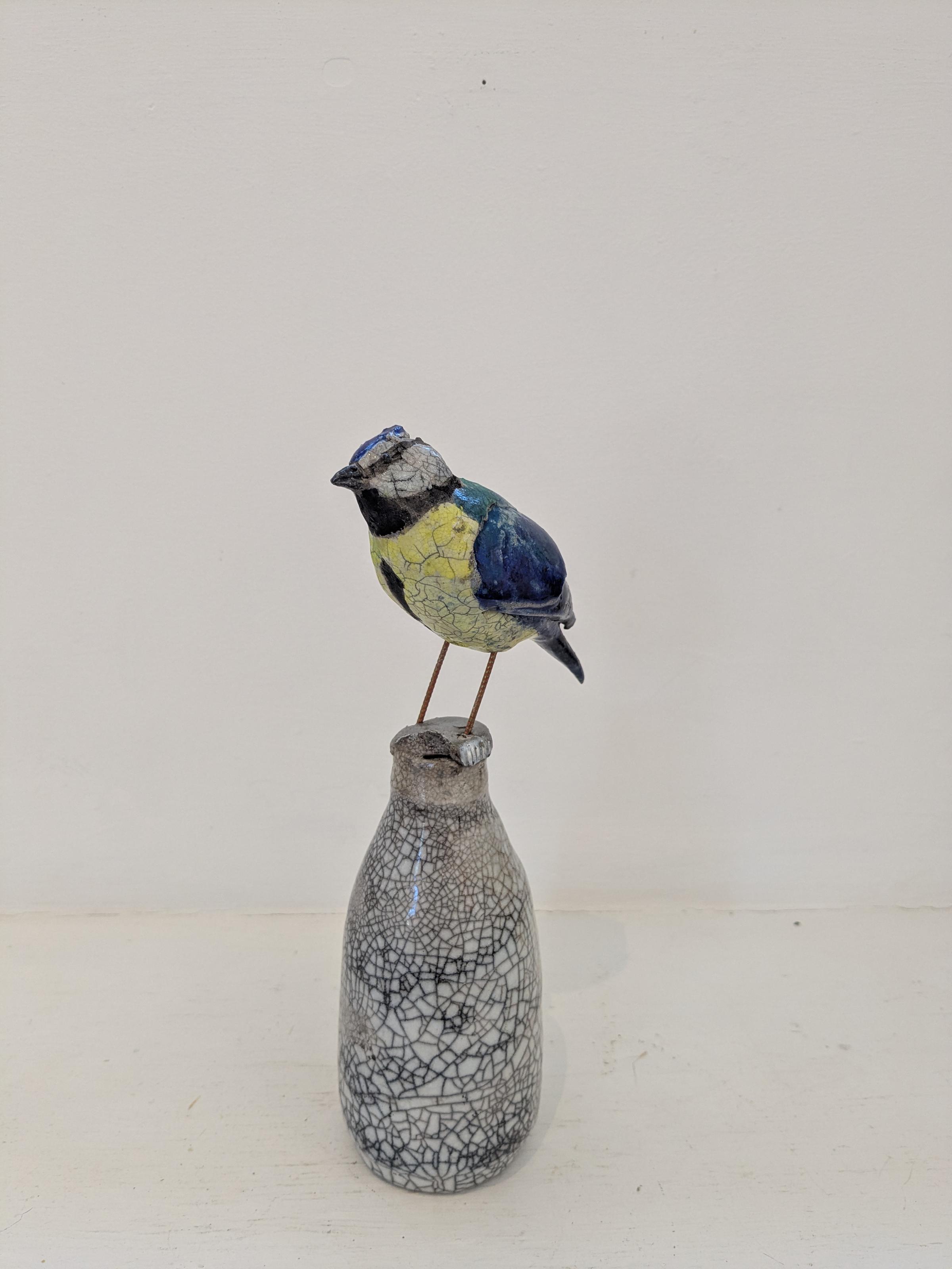 Blue Tit on Milk Bottle