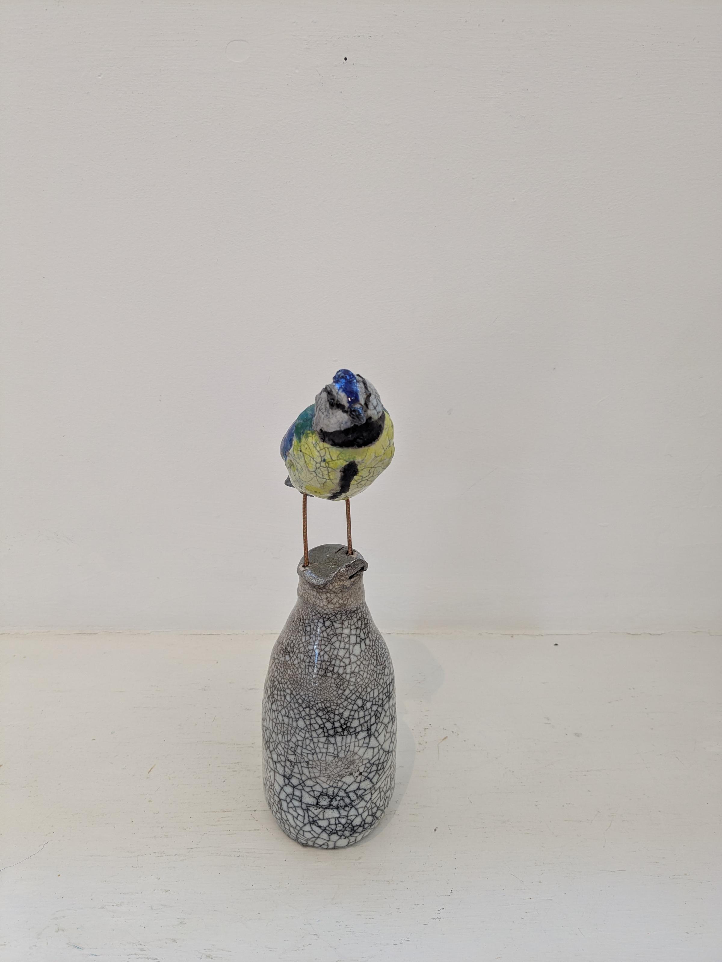 Blue Tit on Milk Bottle