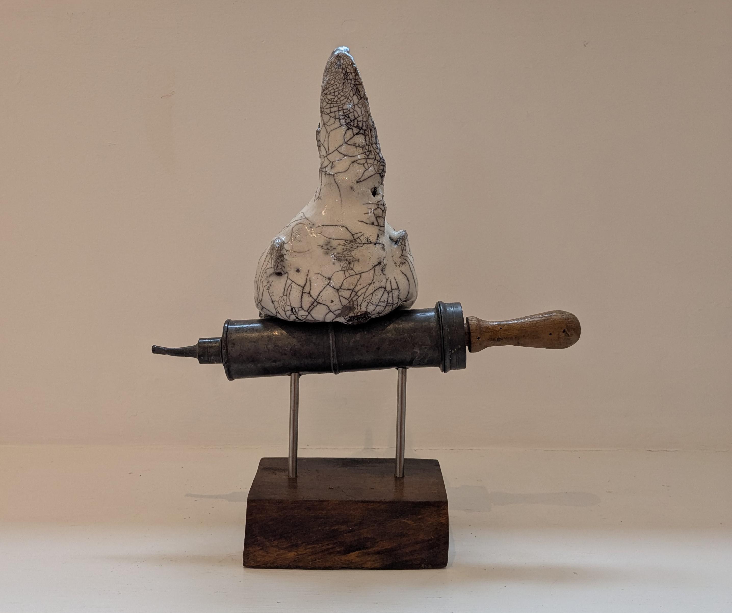 Chicken on Syringe