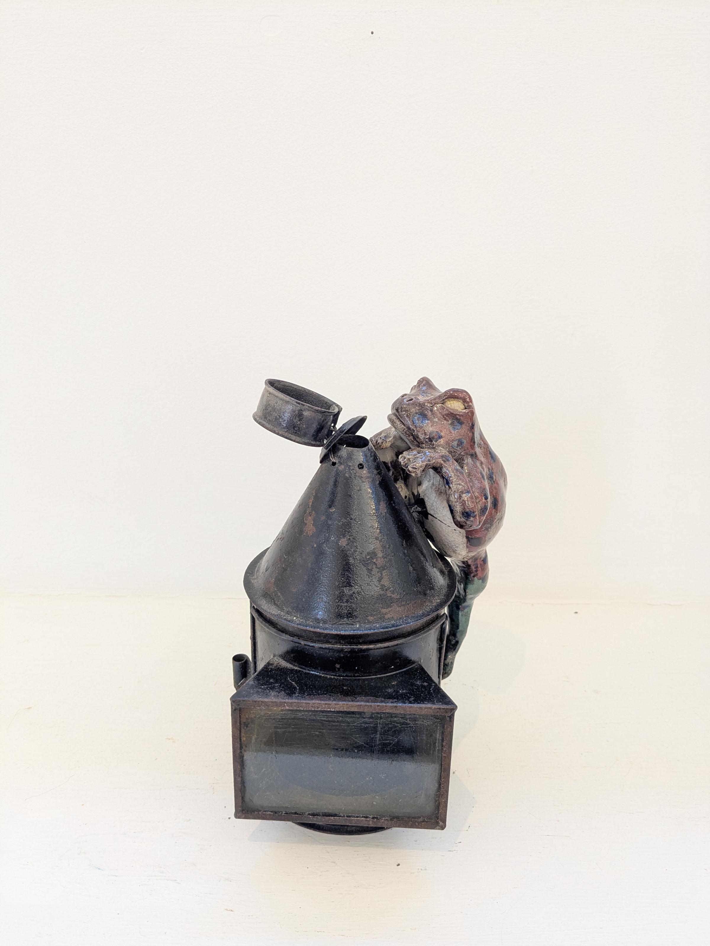 Frog on Lamp