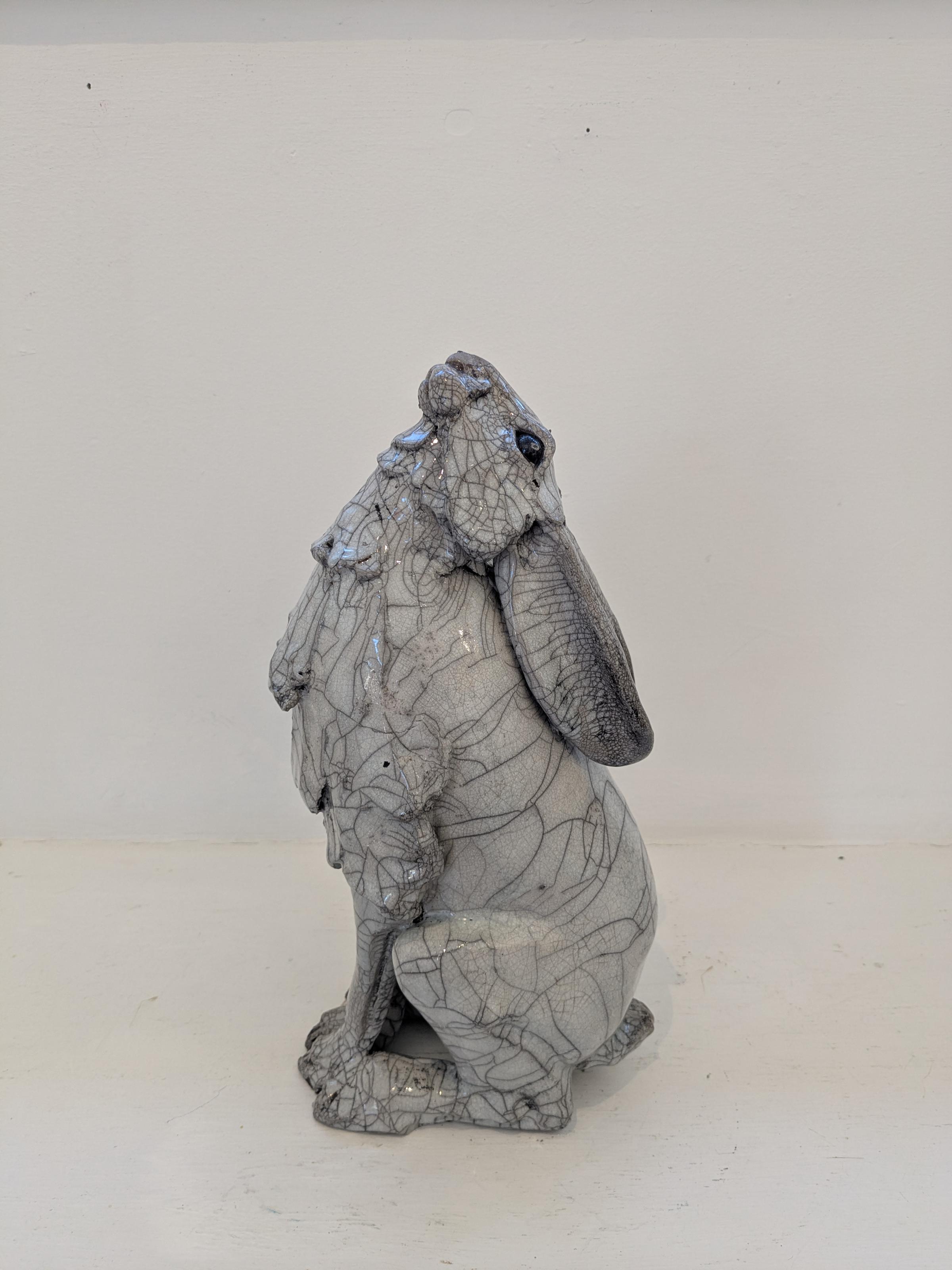 Moon Gazing Hare
