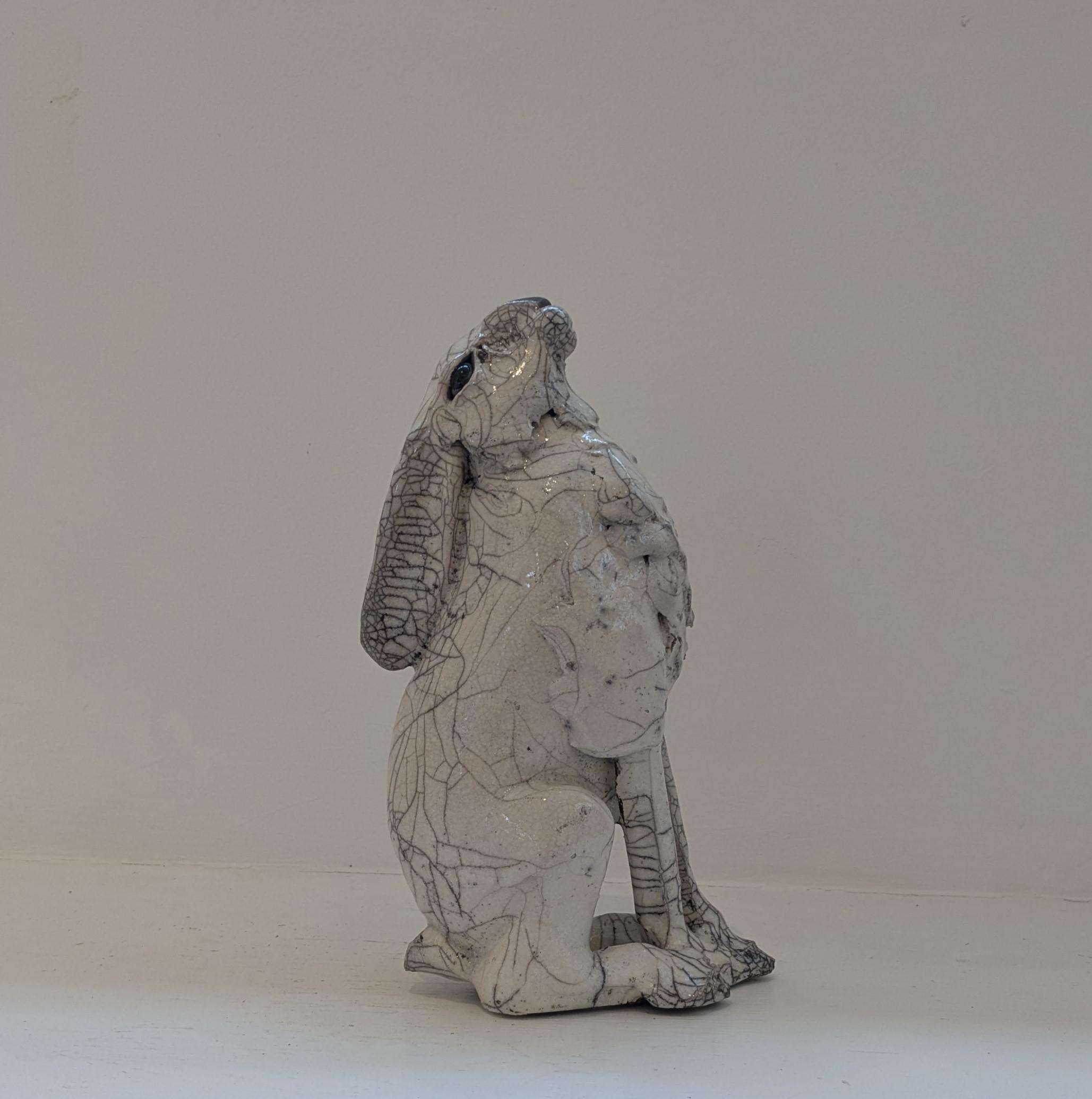 Moon Gazing Hare