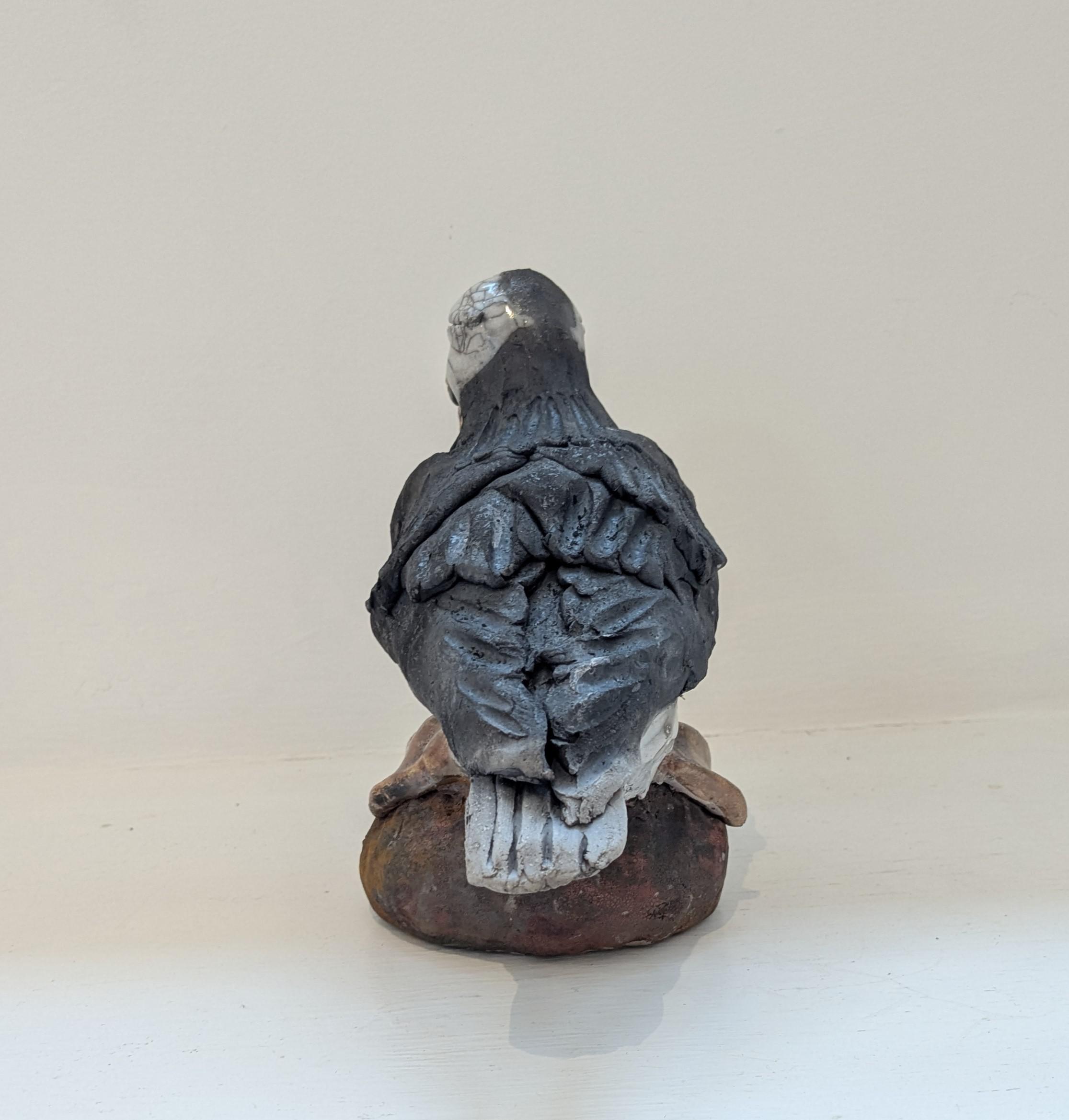 Puffin on Rock
