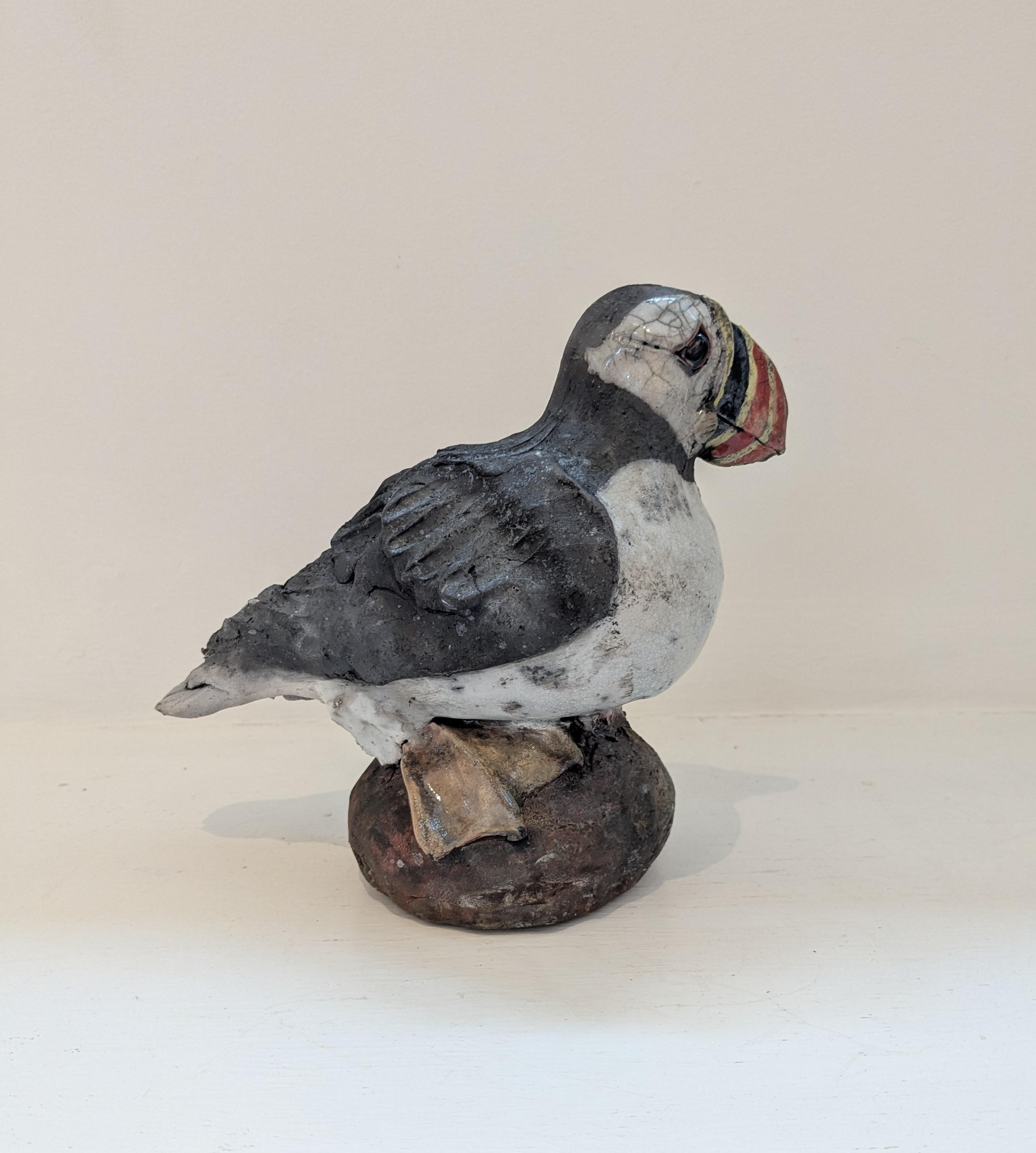 Puffin on Rock