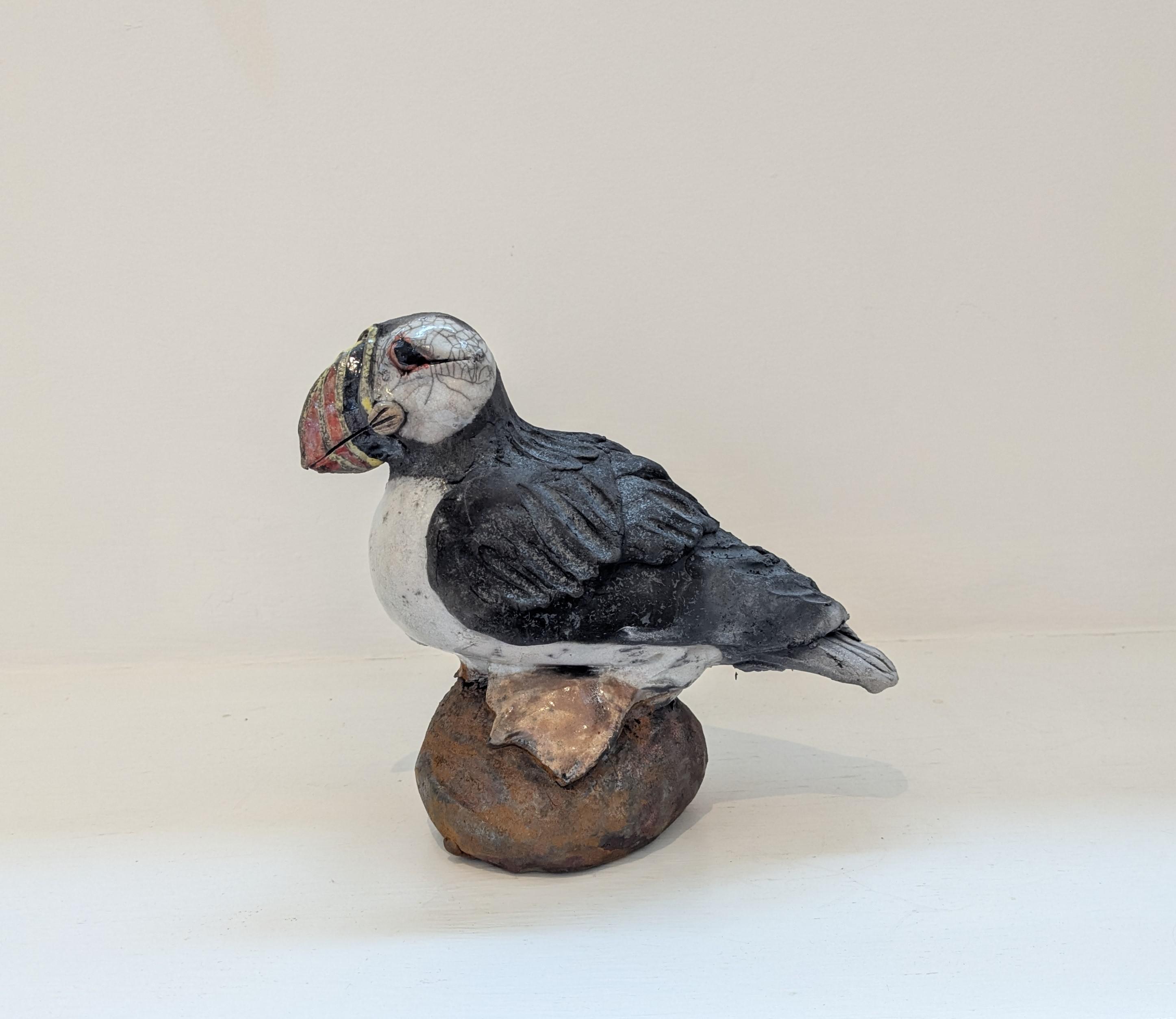 Puffin on Rock