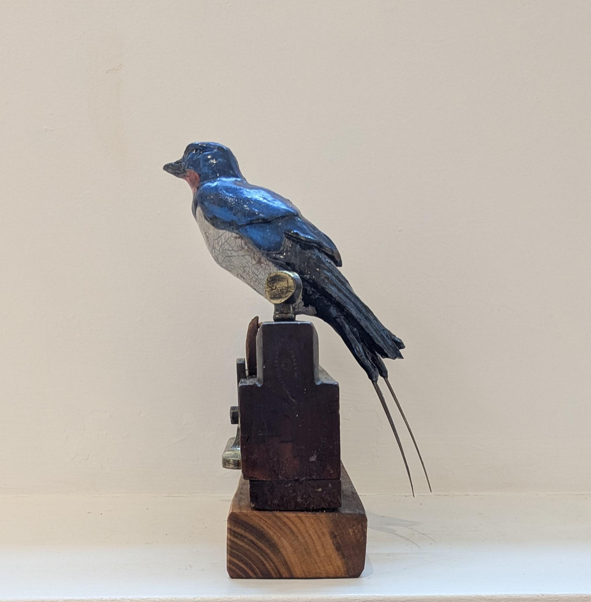 Swallow on Plane