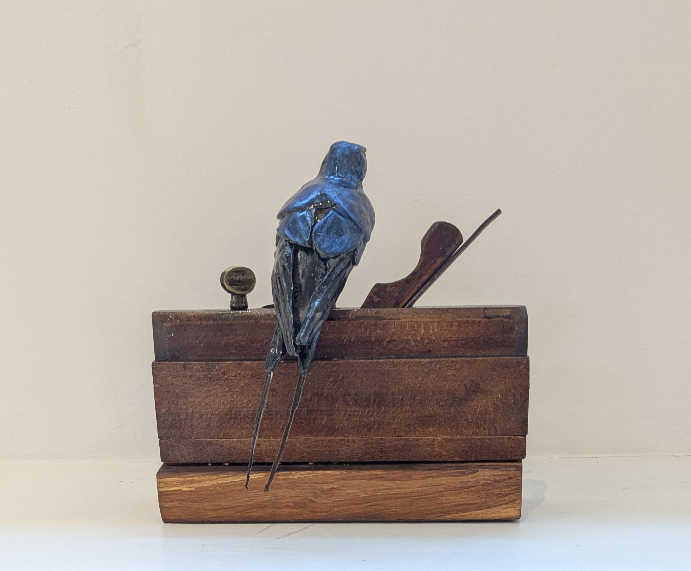 Swallow on Plane