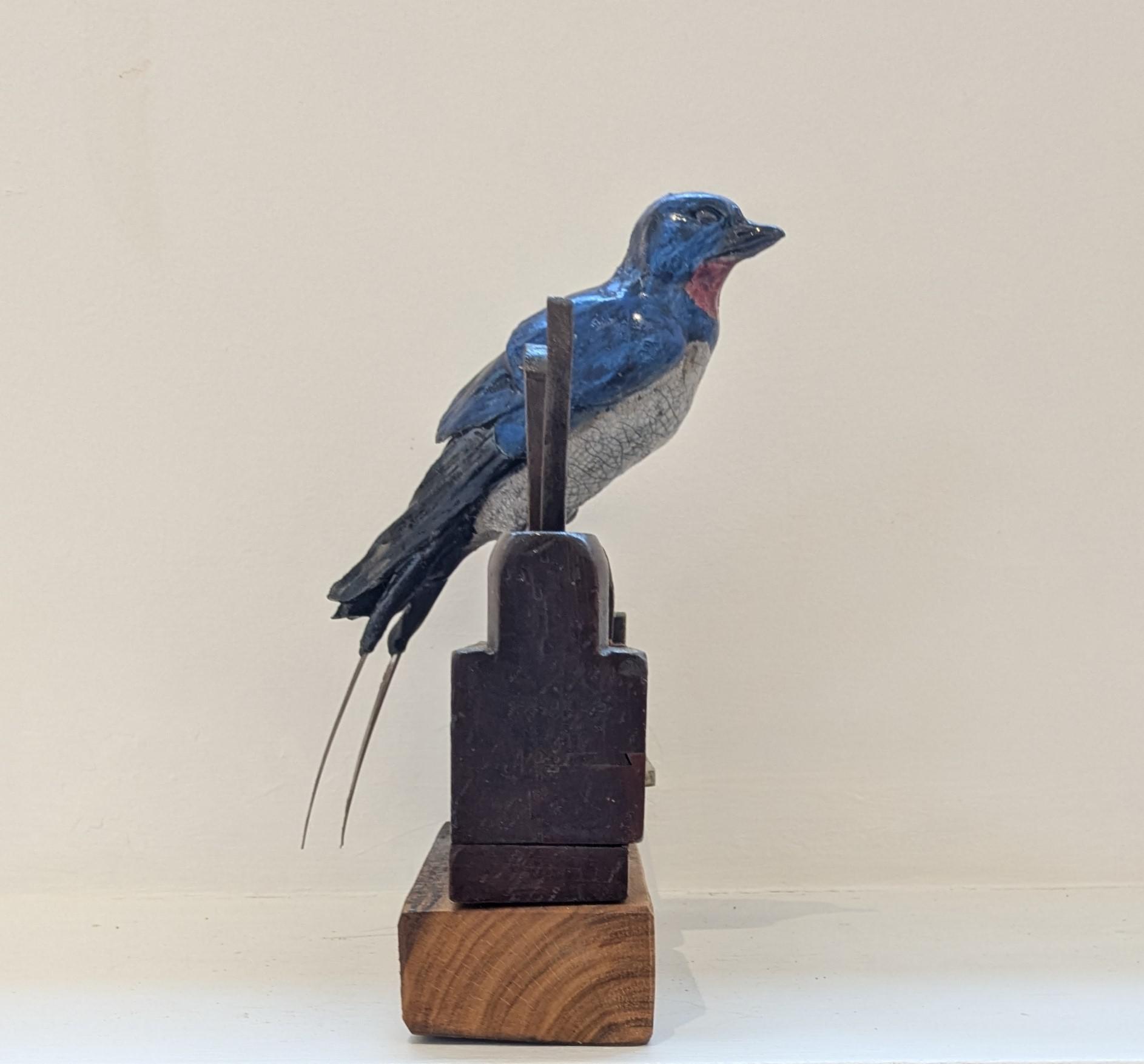 Swallow on Plane