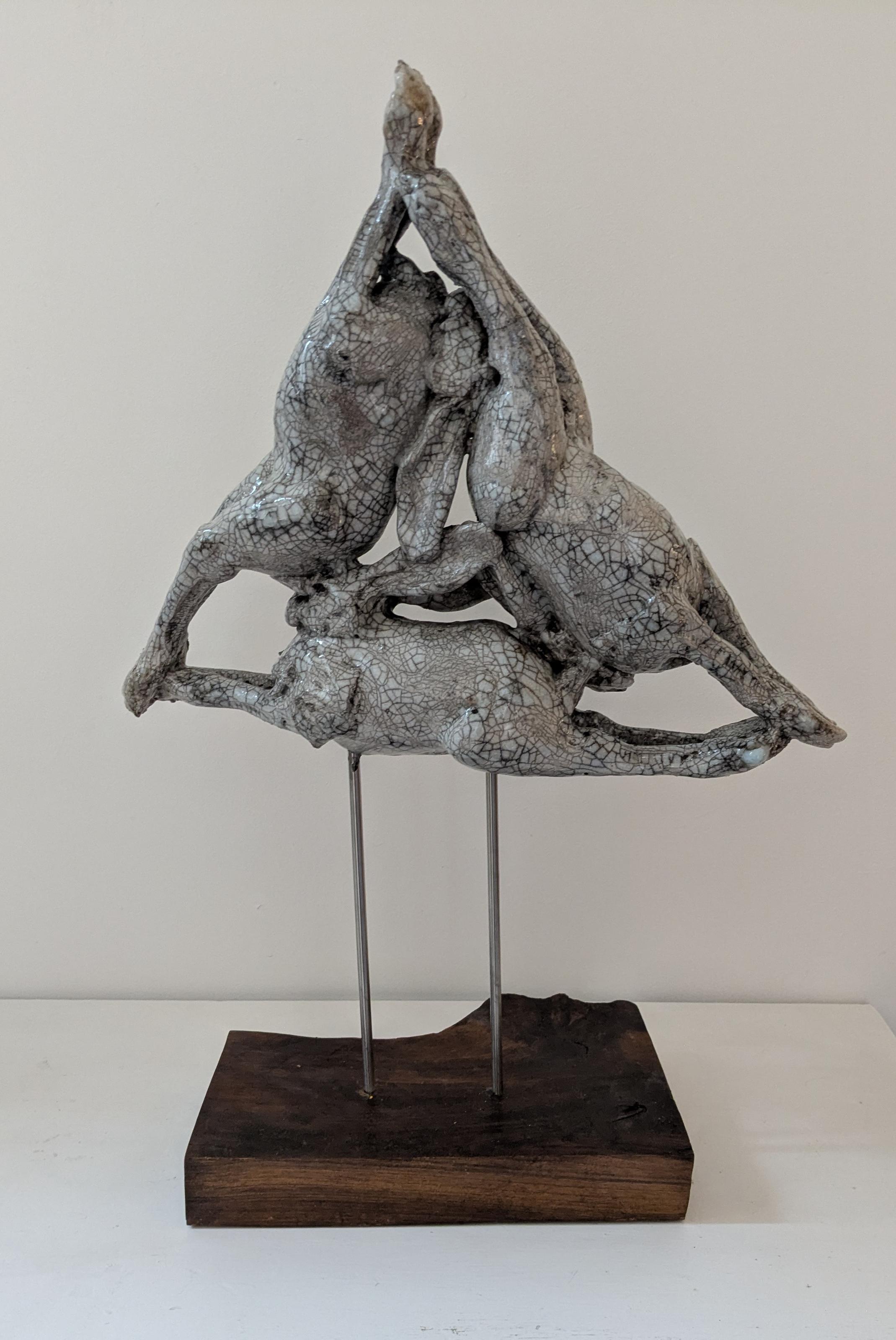 Tanners' Hares