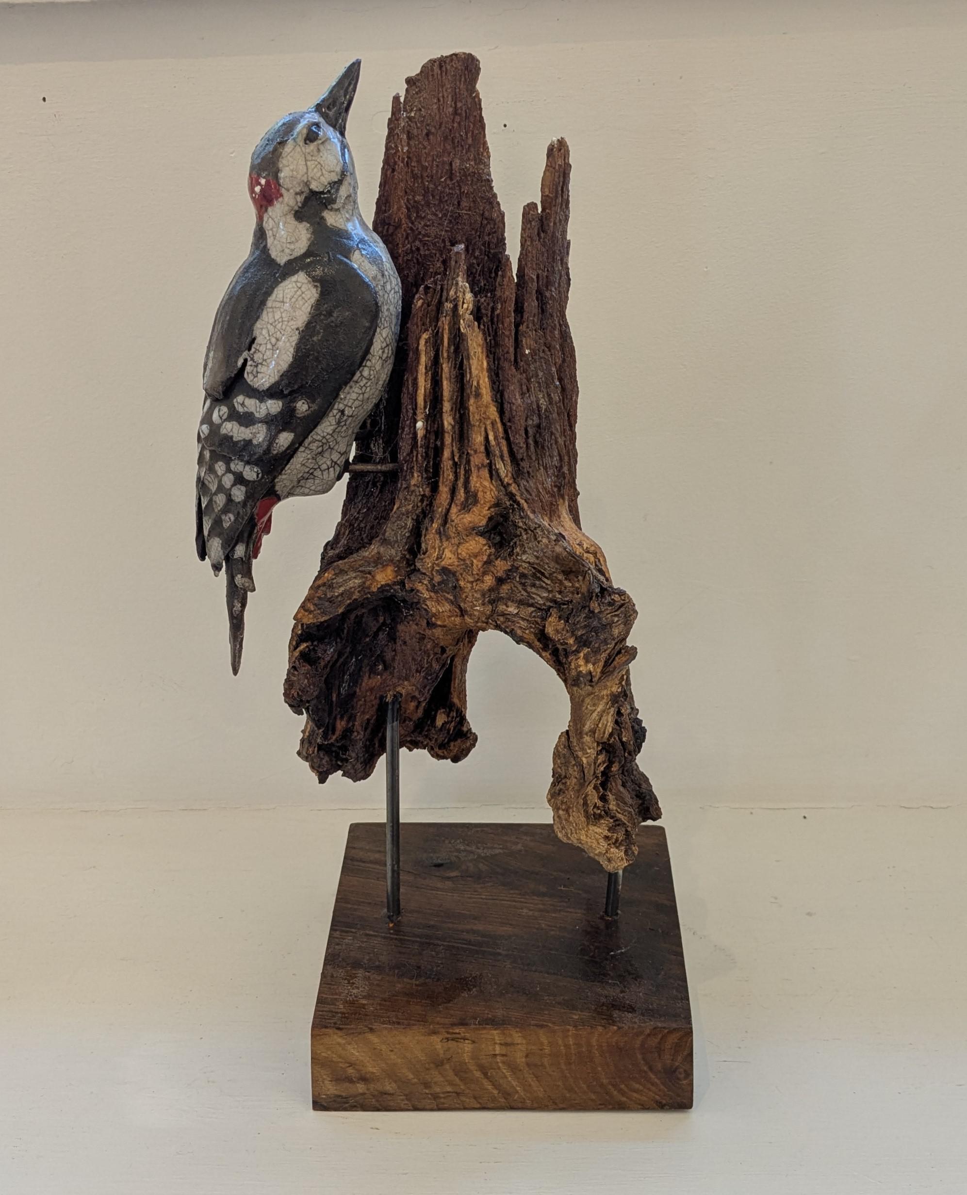 Woodpecker on Oak