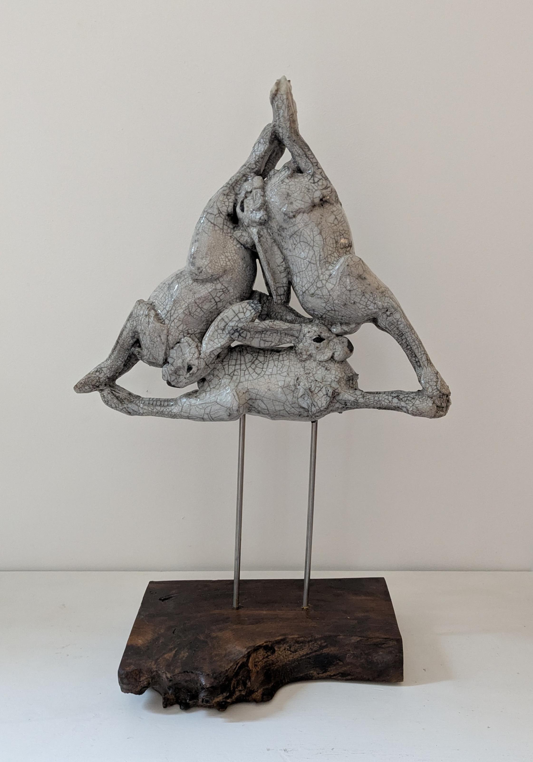 Tanners' Hares