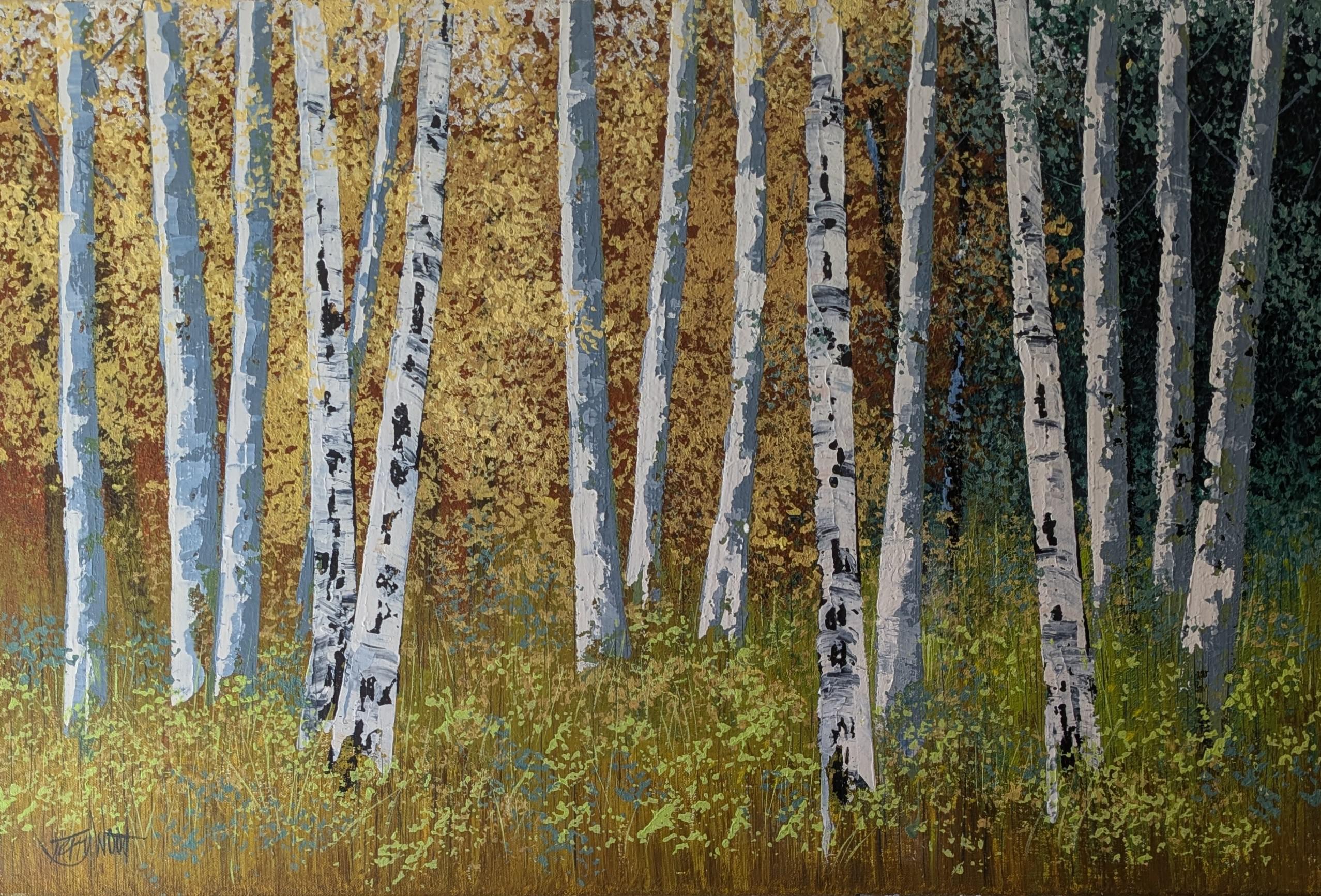 Siver Birch Meadow