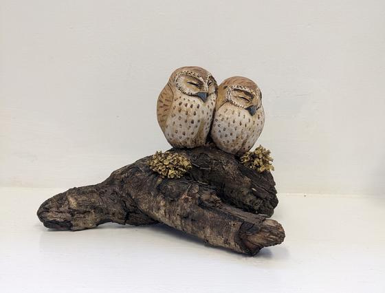 A Pair of Little Owls