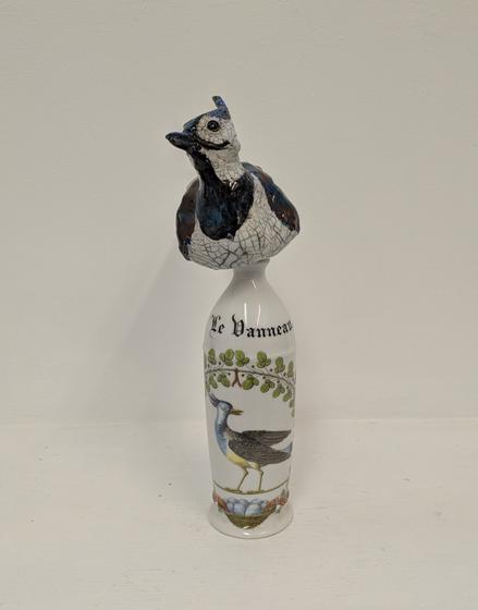 Lapwing on French Bottle