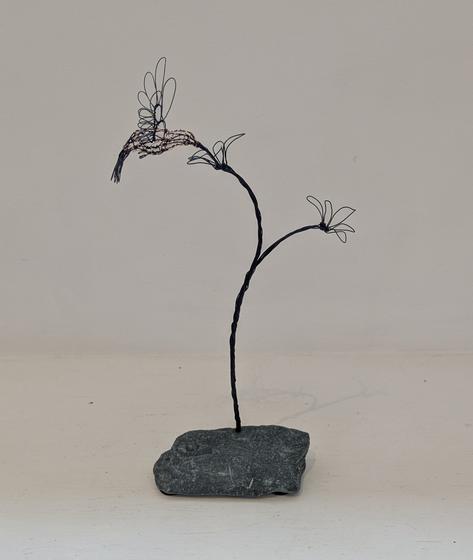 Hummingbird on Double Flower Stem