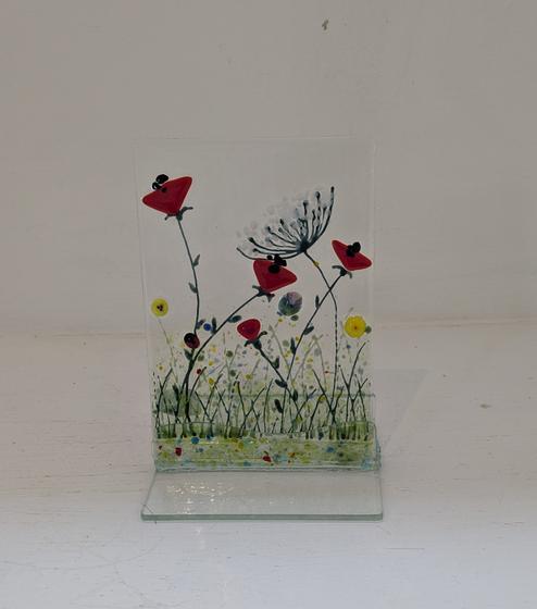 Wild Flower Meadow