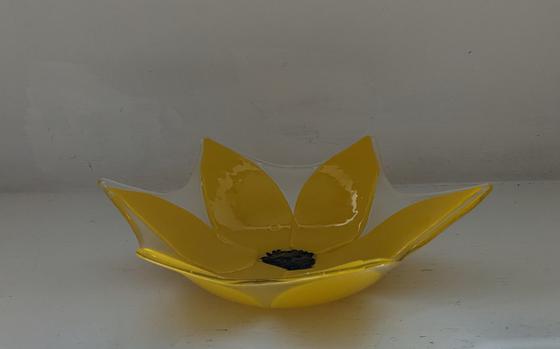 Yellow Star Flower Bowl