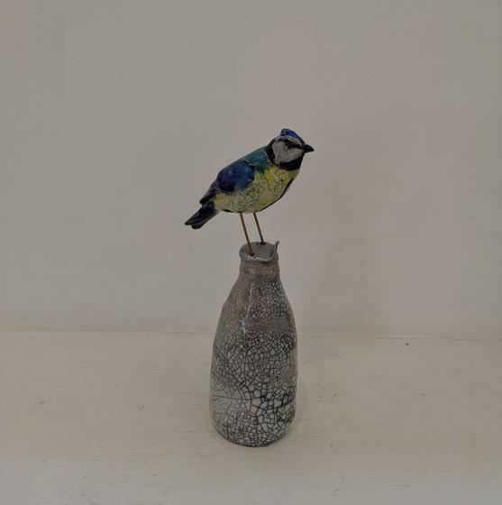 Blue Tit on Milk Bottle