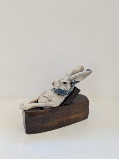 Hare O'plane