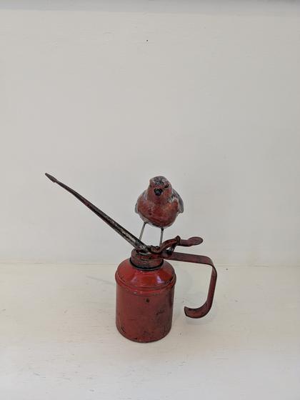Robin on Oil Pump
