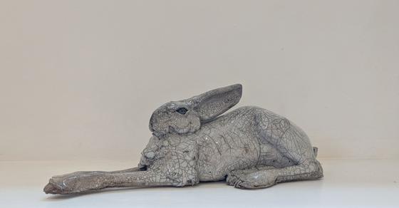 Large Lying Hare