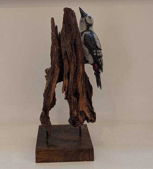 Woodpecker on Oak