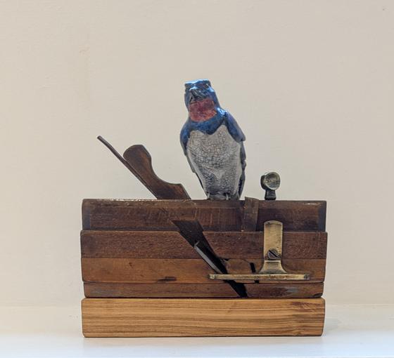 Swallow on Plane