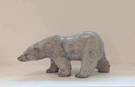 Polar Bear