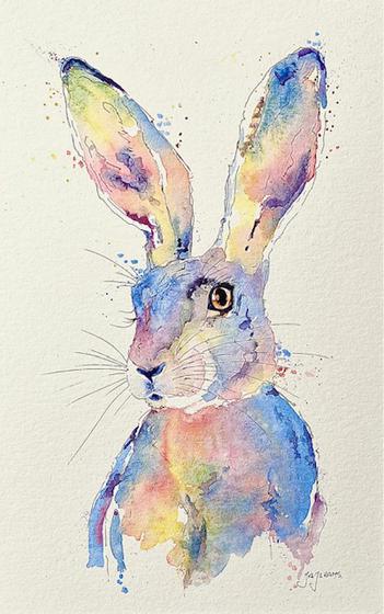 Spring Hare