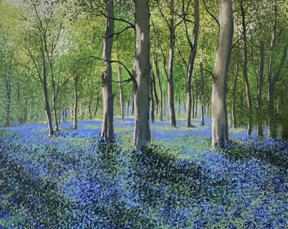 Bluebell Woodland