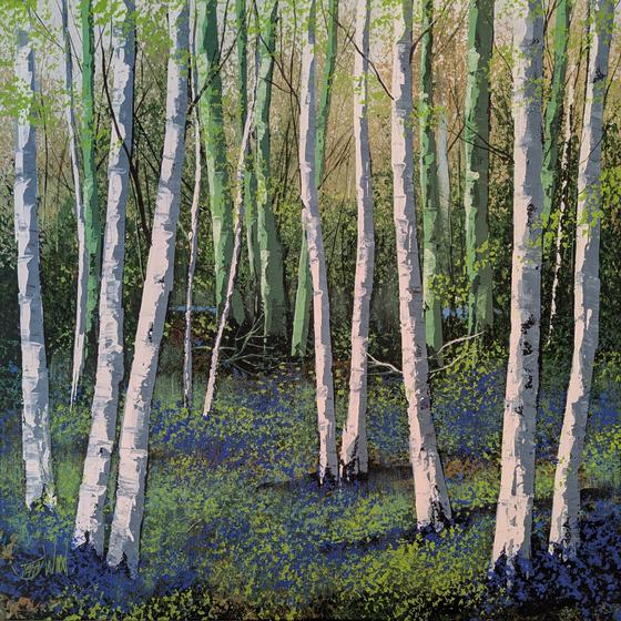 Silver Birch