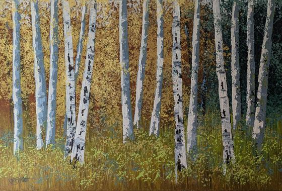 Siver Birch Meadow
